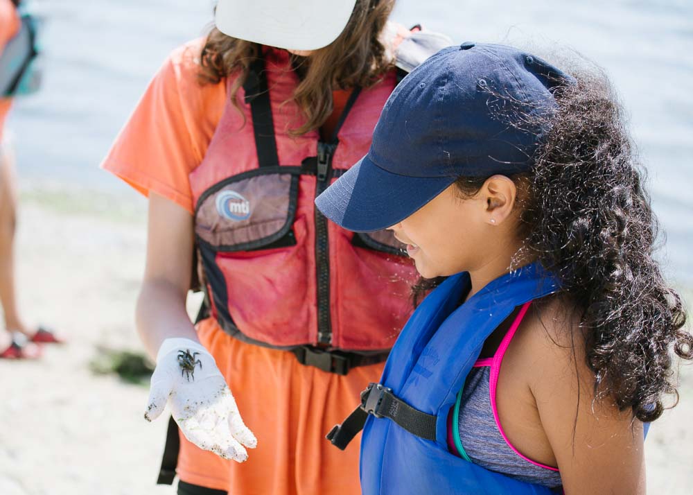 Campers checking out a crab