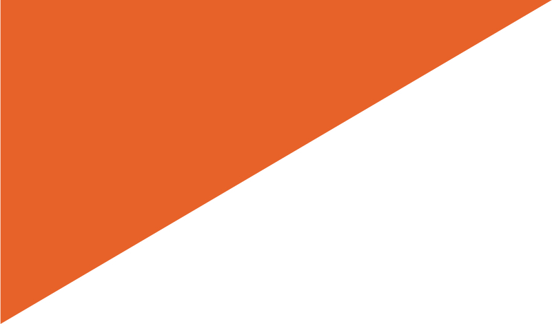 orange triangle