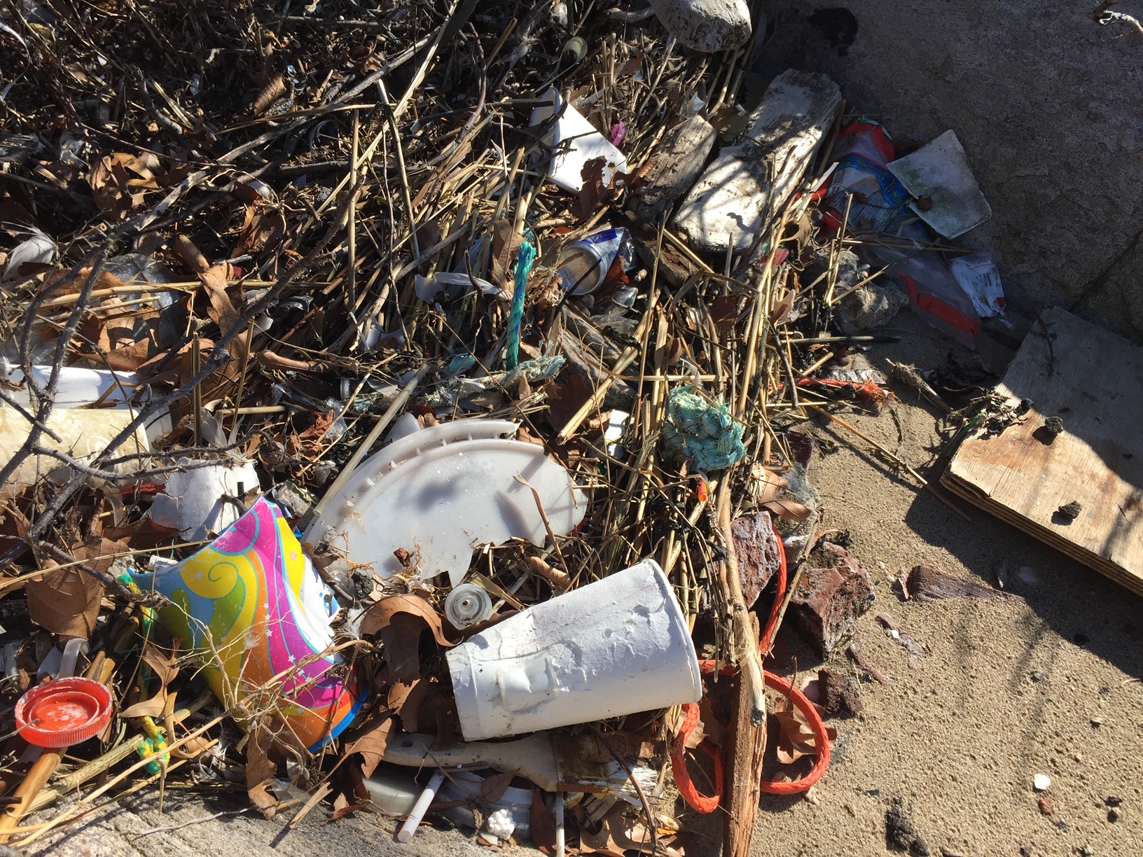 maine debris