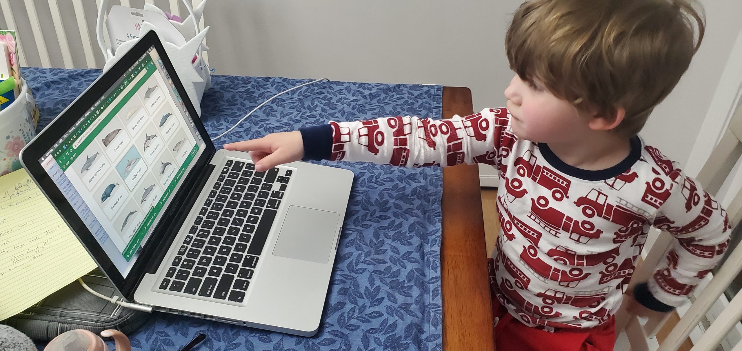 child looking at fish on laptop