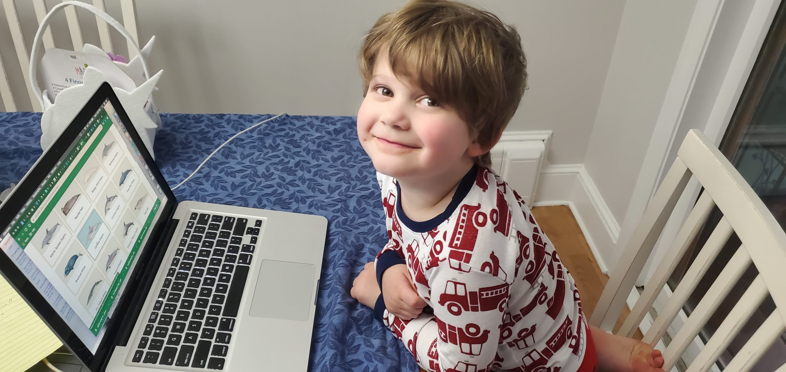 child looking at fish on laptop