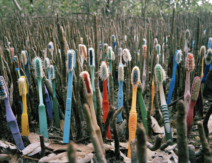 marine debris toothbrushes