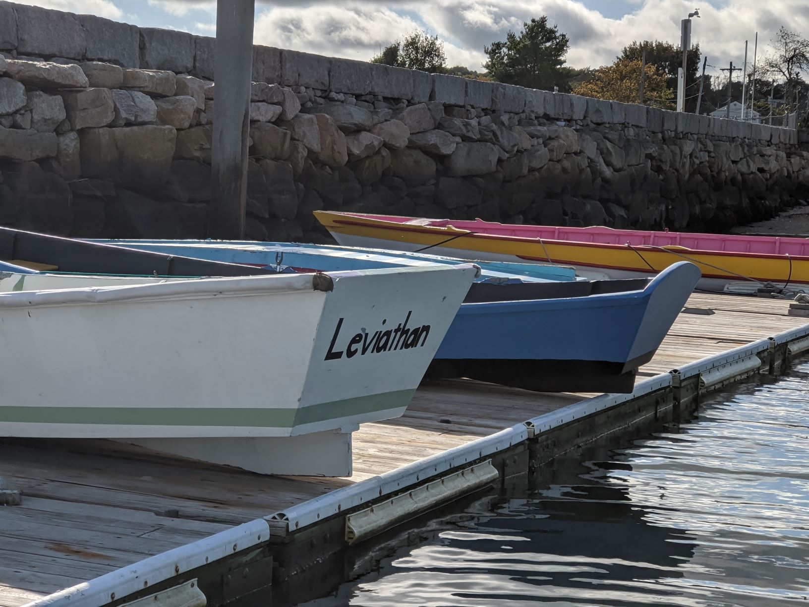 Bevin skiffs on the docks