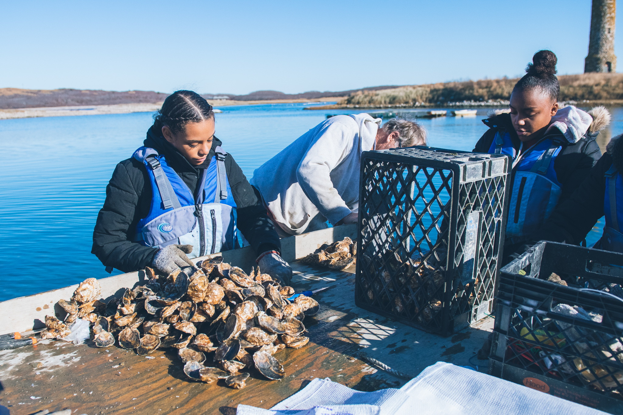 Oyster sorting